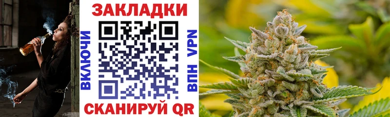 Где купить наркотики Кисловодск Бошки Шишки Гашиш