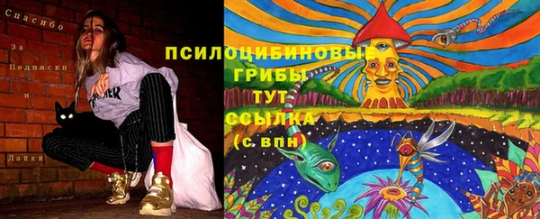 эйфоретик Богородск