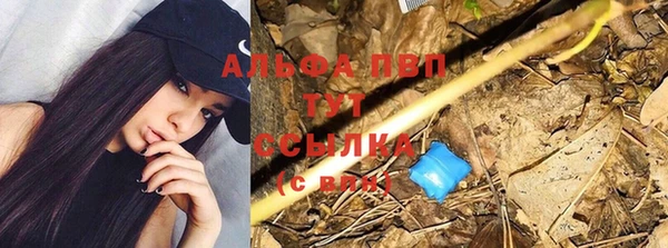 бошки Бронницы