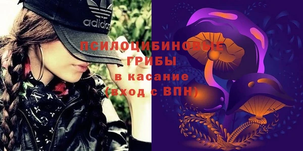 эйфоретик Богородск