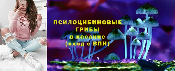 таблы Богородицк